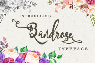 Bandrose Family Typeface for Handmade Branding