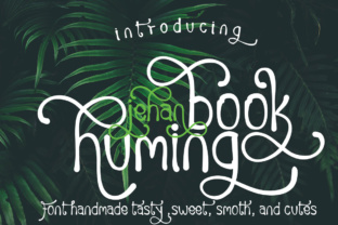 Huming Book Typeface Review for Boutique Branding