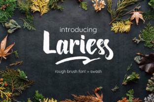 Lariess Typeface Review: Elevating Handmade Brand Identity