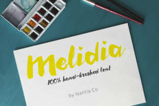 Melidia: The Bold Hand Brushed Typeface for Modern Branding