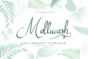 Mollucash: A Hand Drawn Calligraphy Typeface for Editorial Design