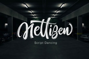 Nettizen Font Review: Modern Brush Script for Design