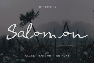 Salomon Script Handwritten Font Review for Branding