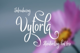 Vytorla Font Review for Elegant Brand Identity